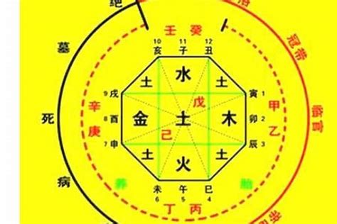 五行喜用神|八字入门基础 第六篇 如何判断八字喜用神